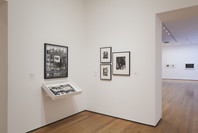 A World of Its Own: Photographic Practices in the Studio. Feb 8–Nov 2, 2014. 4 other works identified