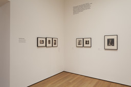 Installation photo, 8 of 46