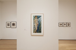 Installation photo, 10 of 46