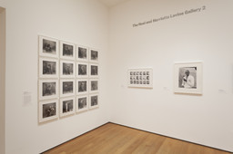 Installation photo, 11 of 46