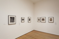 A World of Its Own: Photographic Practices in the Studio. Feb 8–Nov 2, 2014. 3 other works identified