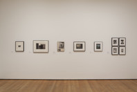A World of Its Own: Photographic Practices in the Studio. Feb 8–Nov 2, 2014. 8 other works identified