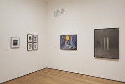 Installation photo, 15 of 46