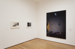 Installation photo, 17 of 46