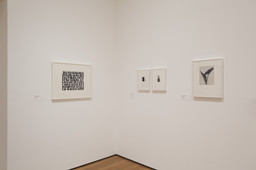 Installation photo, 18 of 46