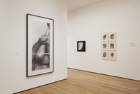 A World of Its Own: Photographic Practices in the Studio. Feb 8–Nov 2, 2014. 4 other works identified