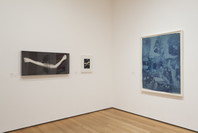 A World of Its Own: Photographic Practices in the Studio. Feb 8–Nov 2, 2014. 2 other works identified
