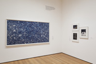 A World of Its Own: Photographic Practices in the Studio. Feb 8–Nov 2, 2014. 3 other works identified