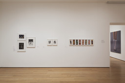 Installation photo, 32 of 46