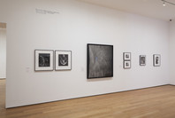 A World of Its Own: Photographic Practices in the Studio. Feb 8–Nov 2, 2014. 6 other works identified
