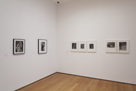 A World of Its Own: Photographic Practices in the Studio. Feb 8–Nov 2, 2014. 6 other works identified