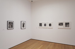Installation photo, 36 of 46