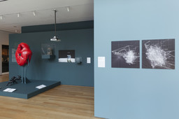 Installation photo, 8 of 20
