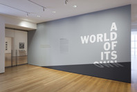 A World of Its Own: Photographic Practices in the Studio. Feb 8–Nov 2, 2014. 1 other work identified
