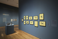 Gauguin: Metamorphoses. Mar 8–Jun 8, 2014.