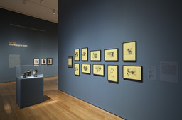 Installation photo, 4 of 68