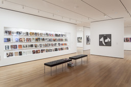 Installation photo, 10 of 31