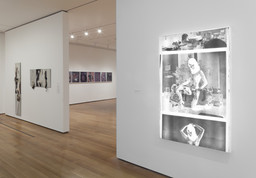 Installation photo, 15 of 31