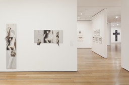 Installation photo, 19 of 31