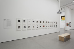 Installation photo, 49 of 85