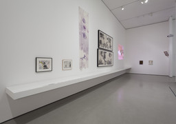 Installation photo, 60 of 85