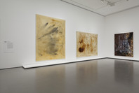 Alibis: Sigmar Polke 1963–2010. Apr 19–Aug 3, 2014.