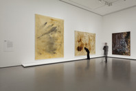 Alibis: Sigmar Polke 1963–2010. Apr 19–Aug 3, 2014.