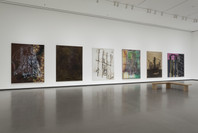 Alibis: Sigmar Polke 1963–2010. Apr 19–Aug 3, 2014.