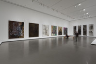 Alibis: Sigmar Polke 1963–2010. Apr 19–Aug 3, 2014.