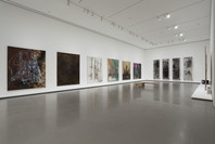 Alibis: Sigmar Polke 1963–2010. Apr 19–Aug 3, 2014.