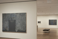Jasper Johns: Regrets. Mar 15–Sep 1, 2014. 1 other work identified