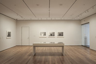 Jasper Johns: Regrets. Mar 15–Sep 1, 2014.