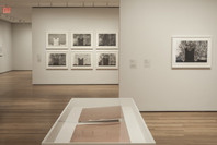 Jasper Johns: Regrets. Mar 15–Sep 1, 2014.