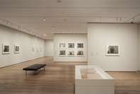 Jasper Johns: Regrets. Mar 15–Sep 1, 2014. 2 other works identified