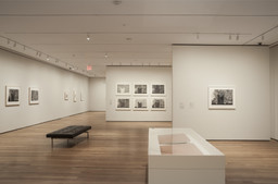 Installation photo, 20 of 21