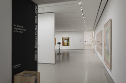 Installation photo, 81 of 85