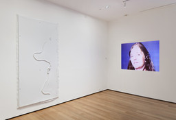 Installation photo, 6 of 32