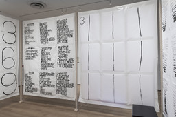 Installation photo, 27 of 32