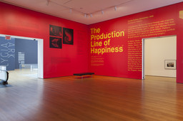 Installation photo, 6 of 72