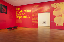 Installation photo, 7 of 72