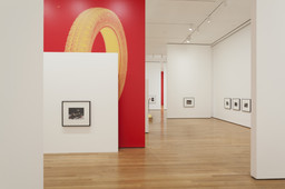 Installation photo, 24 of 72