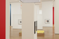 Christopher Williams: The Production Line of Happiness. Jul 27–Nov 2, 2014.