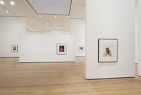 Christopher Williams: The Production Line of Happiness. Jul 27–Nov 2, 2014.
