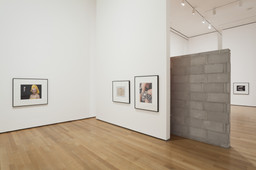 Installation photo, 67 of 72
