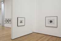Christopher Williams: The Production Line of Happiness. Jul 27–Nov 2, 2014. 1 other work identified