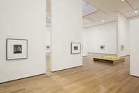 Christopher Williams: The Production Line of Happiness. Jul 27–Nov 2, 2014.