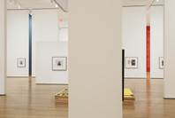 Christopher Williams: The Production Line of Happiness. Jul 27–Nov 2, 2014.
