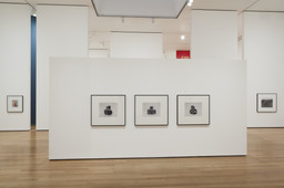Installation photo, 41 of 72