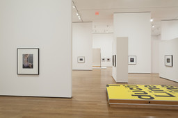 Installation photo, 42 of 72