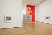 Christopher Williams: The Production Line of Happiness. Jul 27–Nov 2, 2014. 1 other work identified